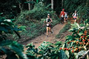 BIB: 
                            <button type="button" onclick="openModal(25838877)" class="btn btn-primary btn-sm float-right btn-popup" data-toggle="modal" data-target=".modal-high-quality">
                        <i class="fas fa-shopping-cart"></i> Add to Cart
                    </button>
                                            <button type="button" onclick="isThisMe(25838877, true)" class="btn btn-success btn-sm float-right btn-popup btn-isme hidden" data-toggle="tooltip" data-placement="bottom" title="นี่คือรูปของคุณใช่ไหม คลิกที่นี่เพื่อเอาเข้าอัลบั้ม">
                        <i class="fas fa-plus"></i> Add to album
                    </button>
                    <button type="button" onclick="isThisMe(25838877, false)" class="btn btn-warning btn-sm float-right btn-popup btn-isnotme hidden">
                        <i class="fas fa-ban"></i> Remove from album
                    </button>